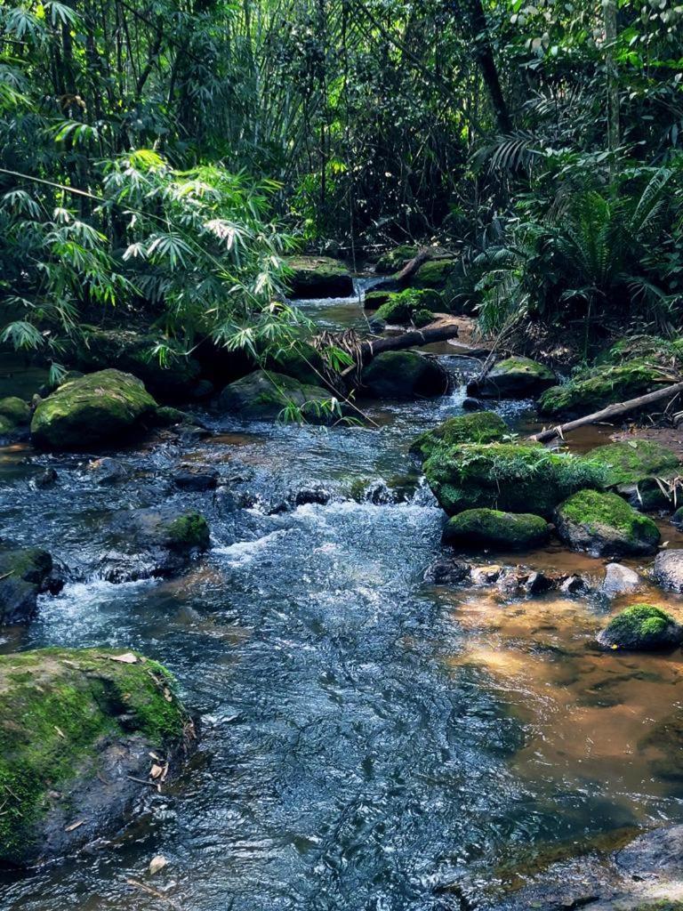 Pousada Sitio Das Pedras Domingos Martins Exteriör bild