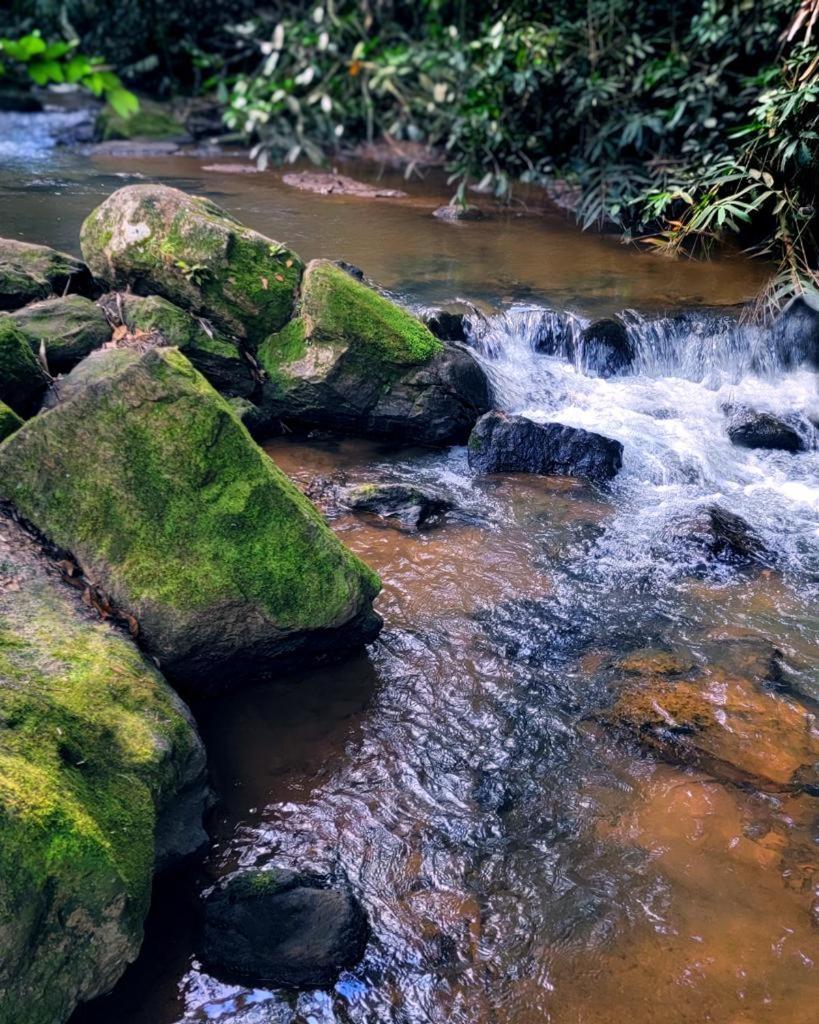 Pousada Sitio Das Pedras Domingos Martins Exteriör bild